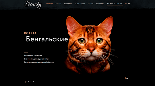 Скриншот сайта benaby.ru