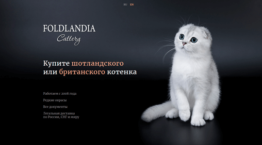 Скриншот сайта foldlandia.ru